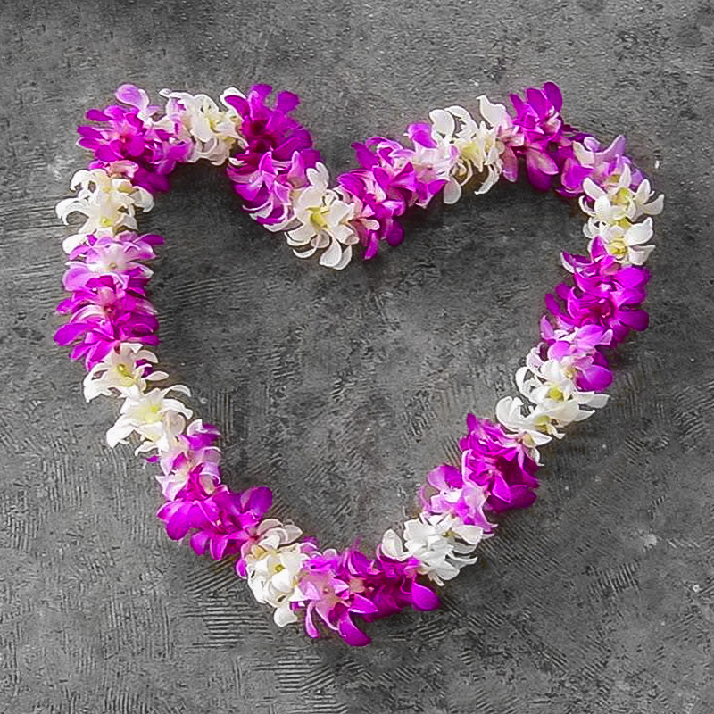 What Is Hawaiian Lei Flower At Harriet Ridgeway Blog